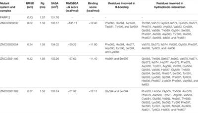 Identification of PARP12 Inhibitors By Virtual Screening and Molecular Dynamics Simulations